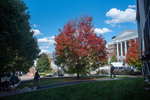 Autum colors on campus 01 by Belmont University and Sam Simpkins