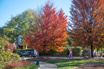 Autum colors on campus 02 by Belmont University and Sam Simpkins