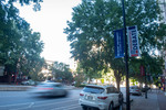 Streetlight banners 07 by Belmont University and Sam Simpkins