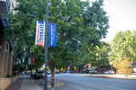 Streetlight banners 12 by Belmont University and Sam Simpkins