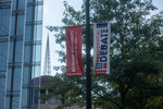 Streetlight banners 36 by Belmont University and Sam Simpkins