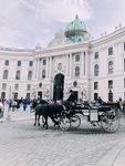 Vienna Town Square