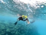 Snorkeling in the Great Barrier Reef by Hallie Braeuner