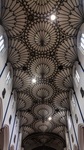 Cathedral Ceiling by Samantha Whitt