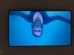 Video Installation by Corrina Joyner