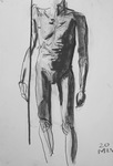 Untitled Drawing by C Norris