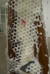 Untitled Sculpture 3 by Malissa Hamilton