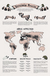 Infographic – History of Plagues by Katherine Hansen