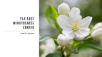 Far East Mindfulness Center
