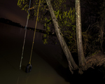 Tire Swing by Thomas Levi Gibson