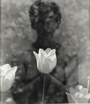 Untitled by Unknown Student